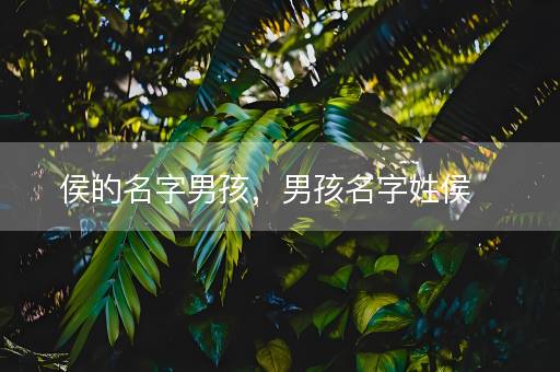 侯的名字男孩，男孩名字姓侯
