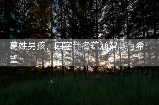 葛姓男孩，四字佳名蕴涵智慧与希望