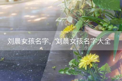 刘晨女孩名字，刘晨女孩名字大全