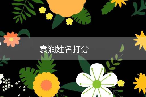袁润姓名打分
