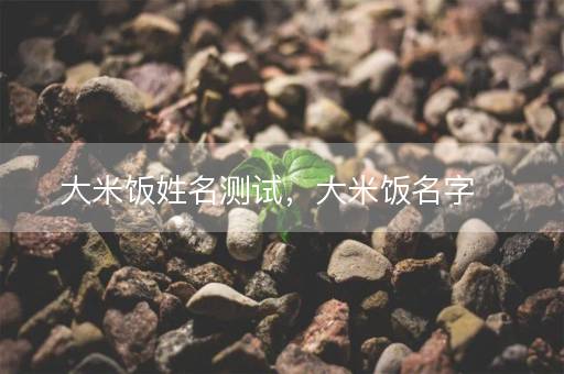 大米饭姓名测试，大米饭名字