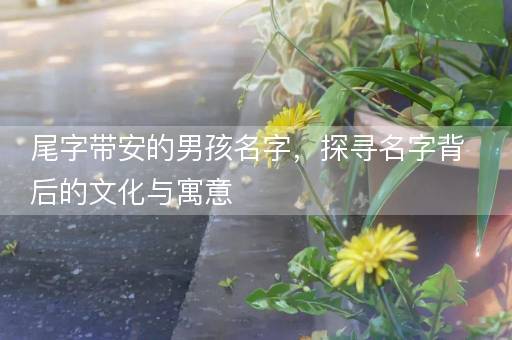 尾字带安的男孩名字，探寻名字背后的文化与寓意