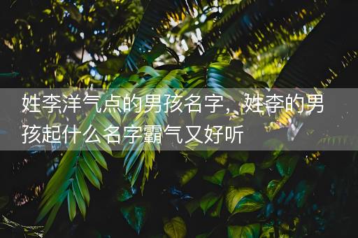 姓李洋气点的男孩名字，姓李的男孩起什么名字霸气又好听