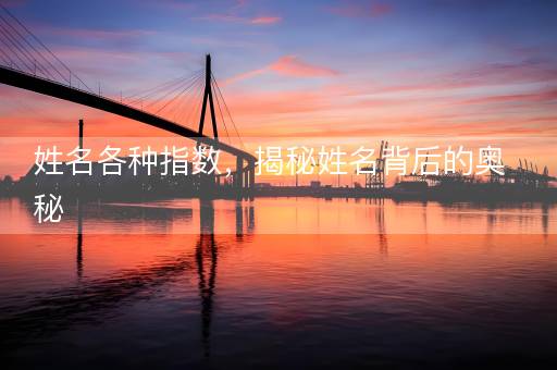 姓名各种指数，揭秘姓名背后的奥秘