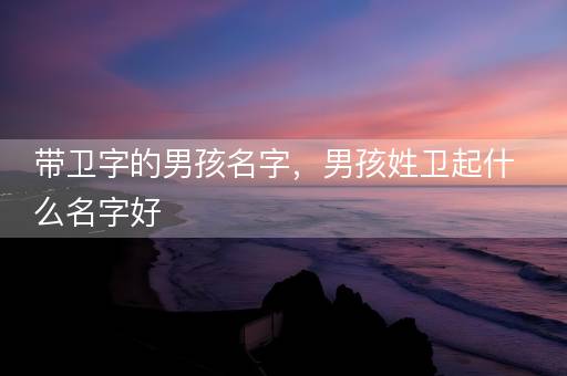 带卫字的男孩名字，男孩姓卫起什么名字好