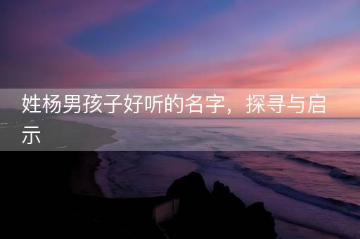 姓杨男孩子好听的名字，探寻与启示
