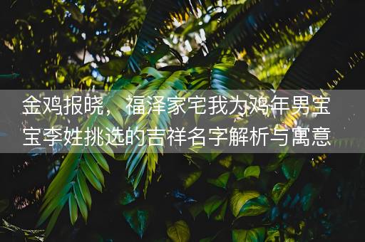 金鸡报晓，福泽家宅我为鸡年男宝宝李姓挑选的吉祥名字解析与寓意