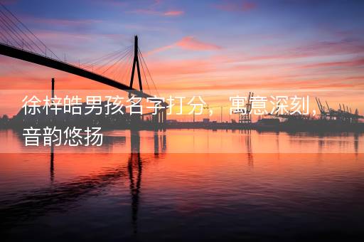 徐梓皓男孩名字打分，寓意深刻，音韵悠扬