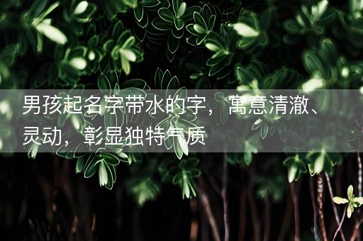 男孩起名字带水的字，寓意清澈、灵动，彰显独特气质