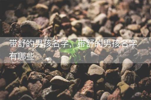带舒的男孩名字，带舒的男孩名字有哪些