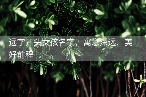 远字开头女孩名字，寓意深远，美好前程