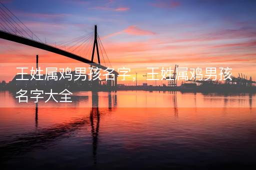王姓属鸡男孩名字，王姓属鸡男孩名字大全