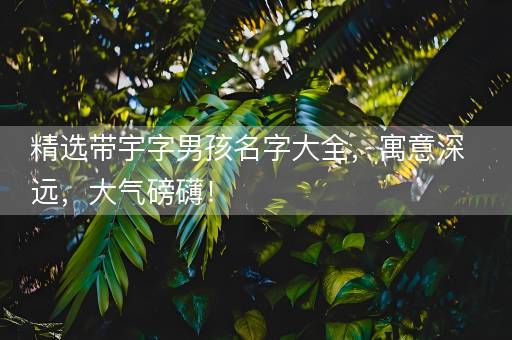 精选带宇字男孩名字大全，寓意深远，大气磅礴！