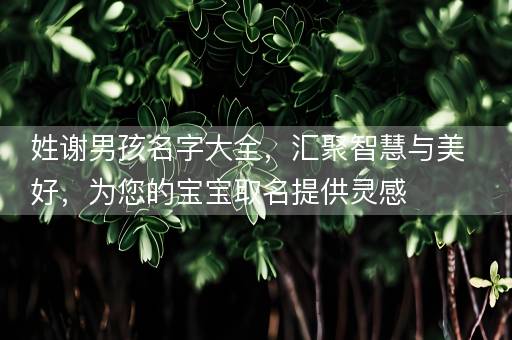 姓谢男孩名字大全，汇聚智慧与美好，为您的宝宝取名提供灵感