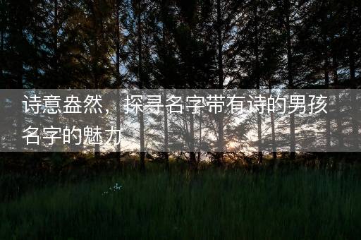 诗意盎然，探寻名字带有诗的男孩名字的魅力