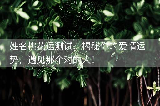 姓名桃花运测试，揭秘你的爱情运势，遇见那个对的人！