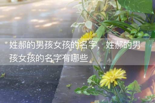 姓郝的男孩女孩的名字，姓郝的男孩女孩的名字有哪些