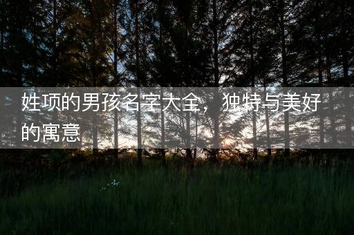 姓项的男孩名字大全，独特与美好的寓意