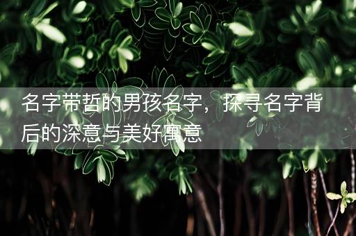 名字带哲的男孩名字，探寻名字背后的深意与美好寓意