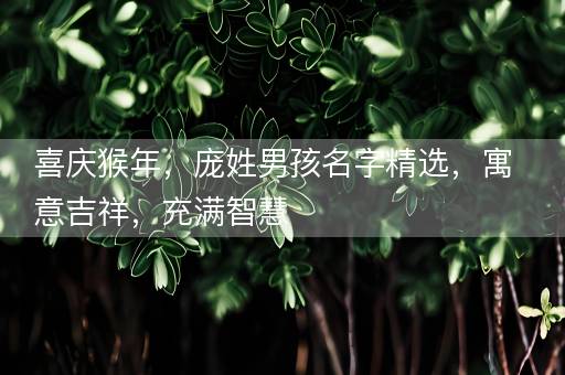 喜庆猴年，庞姓男孩名字精选，寓意吉祥，充满智慧