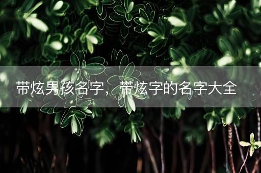 带炫男孩名字，带炫字的名字大全