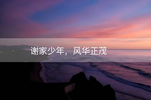 谢家少年，风华正茂