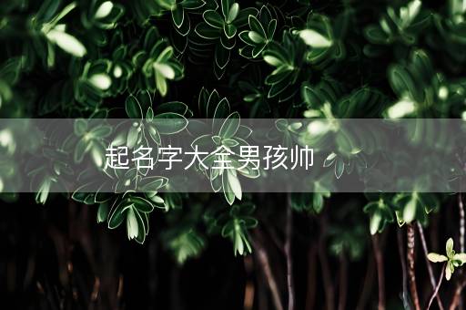 起名字大全男孩帅