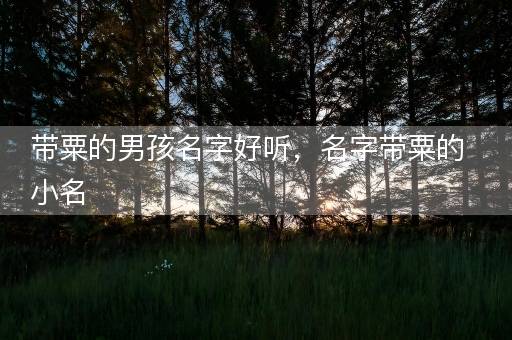 带粟的男孩名字好听，名字带粟的小名