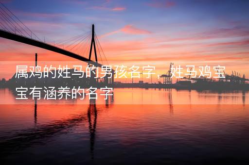 属鸡的姓马的男孩名字，姓马鸡宝宝有涵养的名字