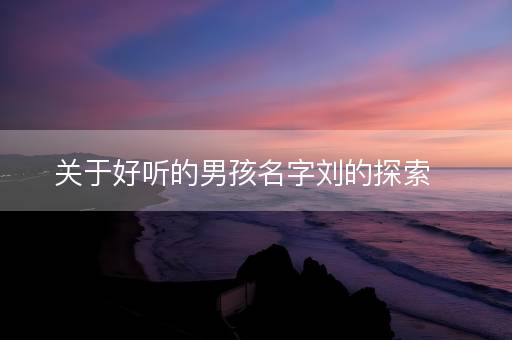 关于好听的男孩名字刘的探索