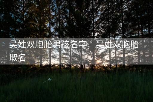 吴姓双胞胎男孩名字，吴姓双胞胎取名