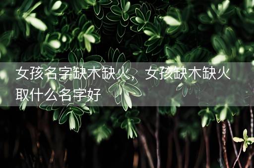女孩名字缺木缺火，女孩缺木缺火取什么名字好