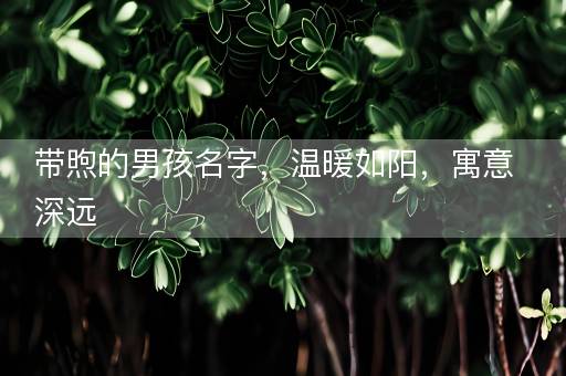 带煦的男孩名字，温暖如阳，寓意深远