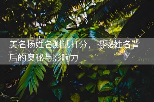 美名扬姓名测试打分，揭秘姓名背后的奥秘与影响力
