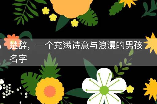 楚辞，一个充满诗意与浪漫的男孩名字