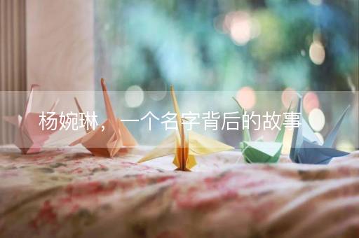 杨婉琳，一个名字背后的故事