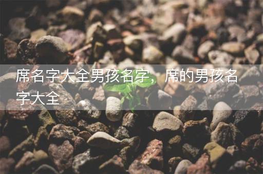席名字大全男孩名字，席的男孩名字大全