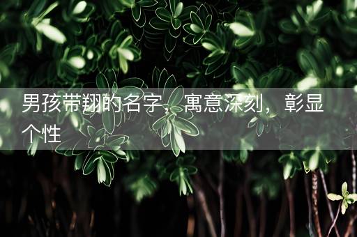 男孩带翔的名字，寓意深刻，彰显个性