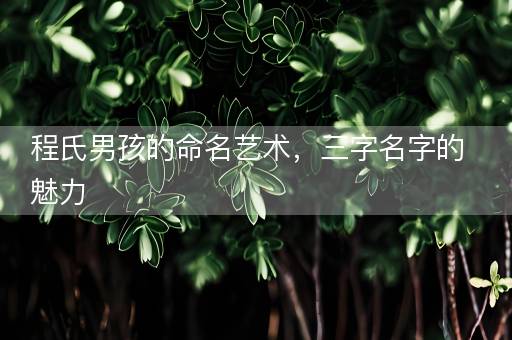程氏男孩的命名艺术，三字名字的魅力
