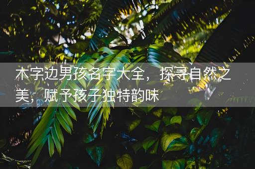 木字边男孩名字大全，探寻自然之美，赋予孩子独特韵味