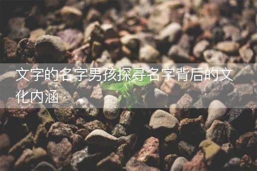 文字的名字男孩探寻名字背后的文化内涵