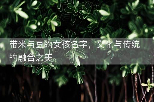 带米与豆的女孩名字，文化与传统的融合之美
