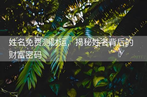 姓名免费测财运，揭秘姓名背后的财富密码