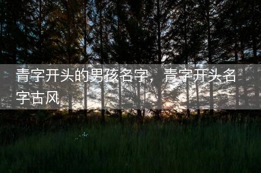 青字开头的男孩名字，青字开头名字古风