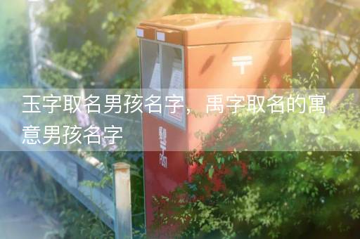 玉字取名男孩名字，禹字取名的寓意男孩名字