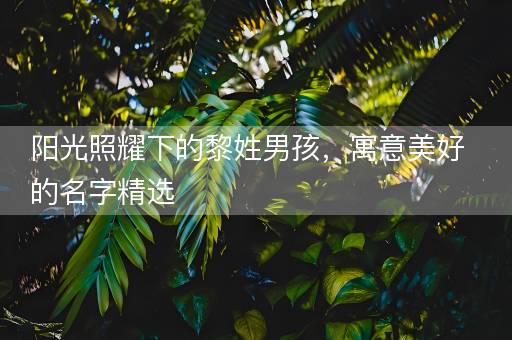阳光照耀下的黎姓男孩，寓意美好的名字精选