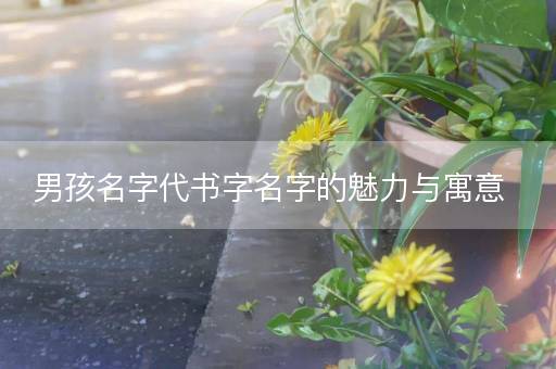 男孩名字代书字名字的魅力与寓意