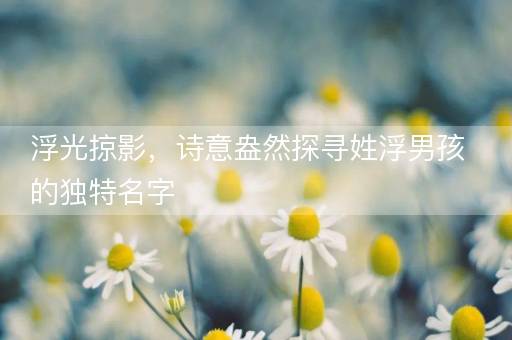 浮光掠影，诗意盎然探寻姓浮男孩的独特名字