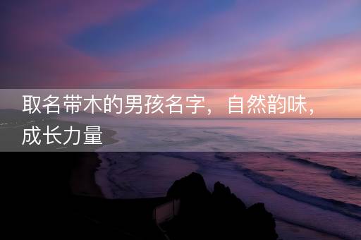 取名带木的男孩名字，自然韵味，成长力量