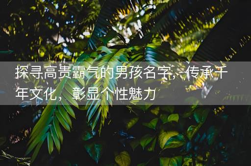 探寻高贵霸气的男孩名字，传承千年文化，彰显个性魅力